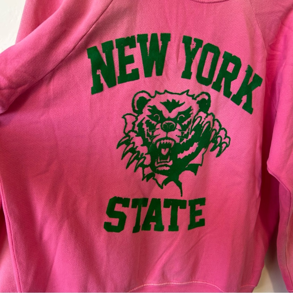 NEW Daydreamer New York State Green Velvet Pink Pullover Crew Neck Size Medium - Picture 3 of 8